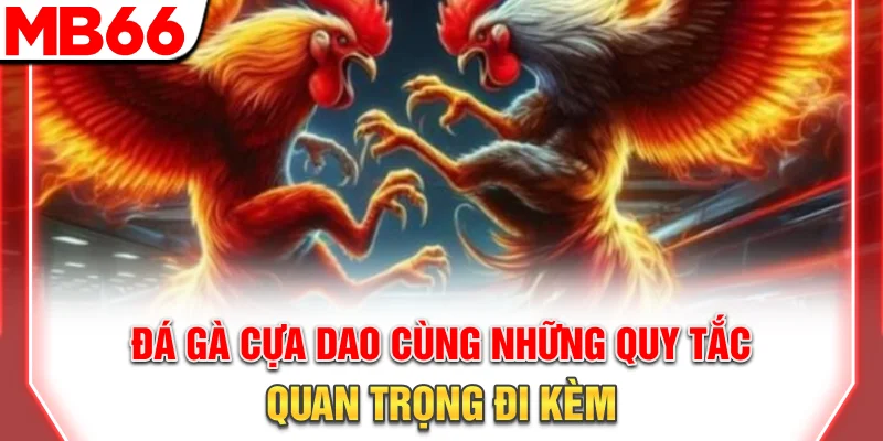 Đá Gà Cựa Dao: Luật Chơi Chi Tiết Và Bí Quyết Thắng Lớn 2026 9 Đá gà cựa dao cùng những quy tắc quan trọng đi kèm