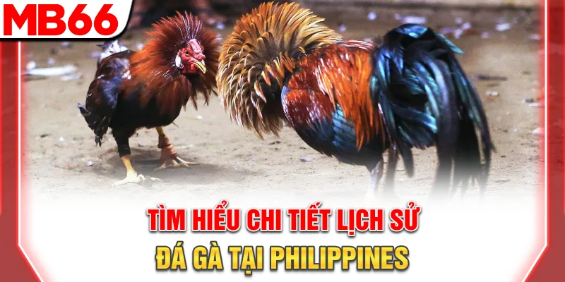Tìm hiểu chi tiết lịch sử đá gà tại Philippines