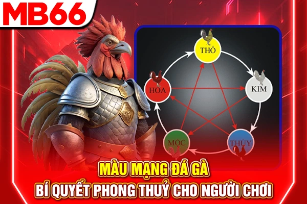 Màu Mạng Đá Gà - Bí Quyết Phong Thuỷ Cho Người Chơi 4 Màu Mạng Đá Gà - Bí Quyết Phong Thuỷ Cho Người Chơi