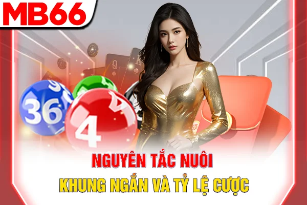 Cách Đánh Lô Đề - 3 Chiến Thuật Hiệu Quả Nhất 2026 7 Nguyên tắc nuôi khung ngắn và tỷ lệ cược