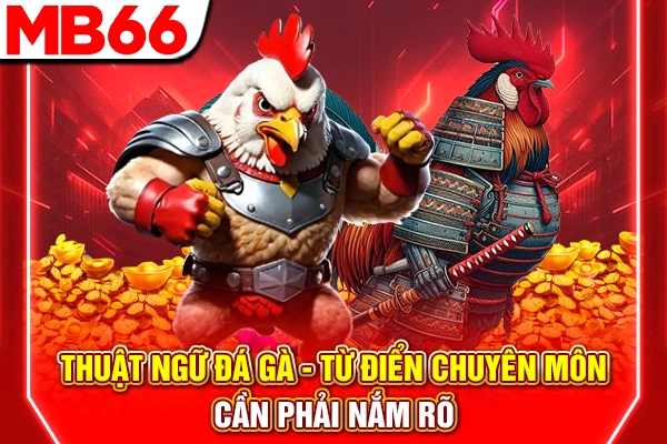 Thuật Ngữ Đá Gà - Từ Điển Chuyên Môn Cần Phải Nắm Rõ 4 Thuật Ngữ Đá Gà - Từ Điển Chuyên Môn Cần Phải Nắm Rõ