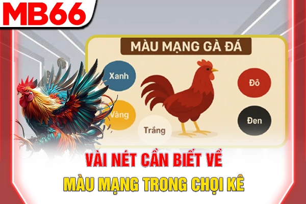Màu Mạng Đá Gà - Bí Quyết Phong Thuỷ Cho Người Chơi 5 Vài nét cần biết về màu mạng trong chọi kê